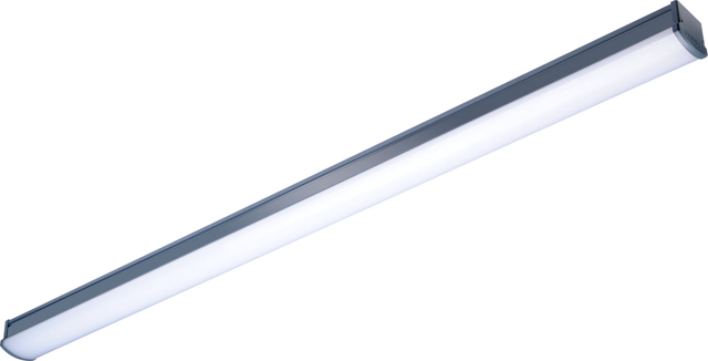 PHILIPS Led Etanj Armatür WT066C NW LED56 L1500 4000K Günışığı