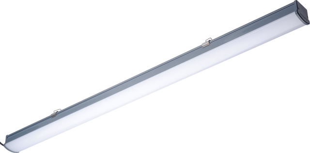 PHILIPS Led Etanj Armatür WT066C NW LED36 L1200 4000K Günışığı